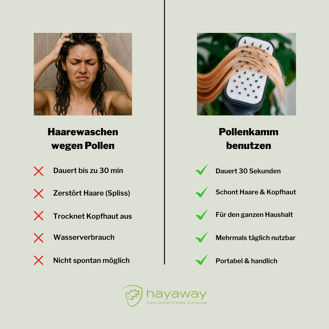 Pollenkamm-Premium-Set